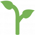 chapterwise.ru favicon