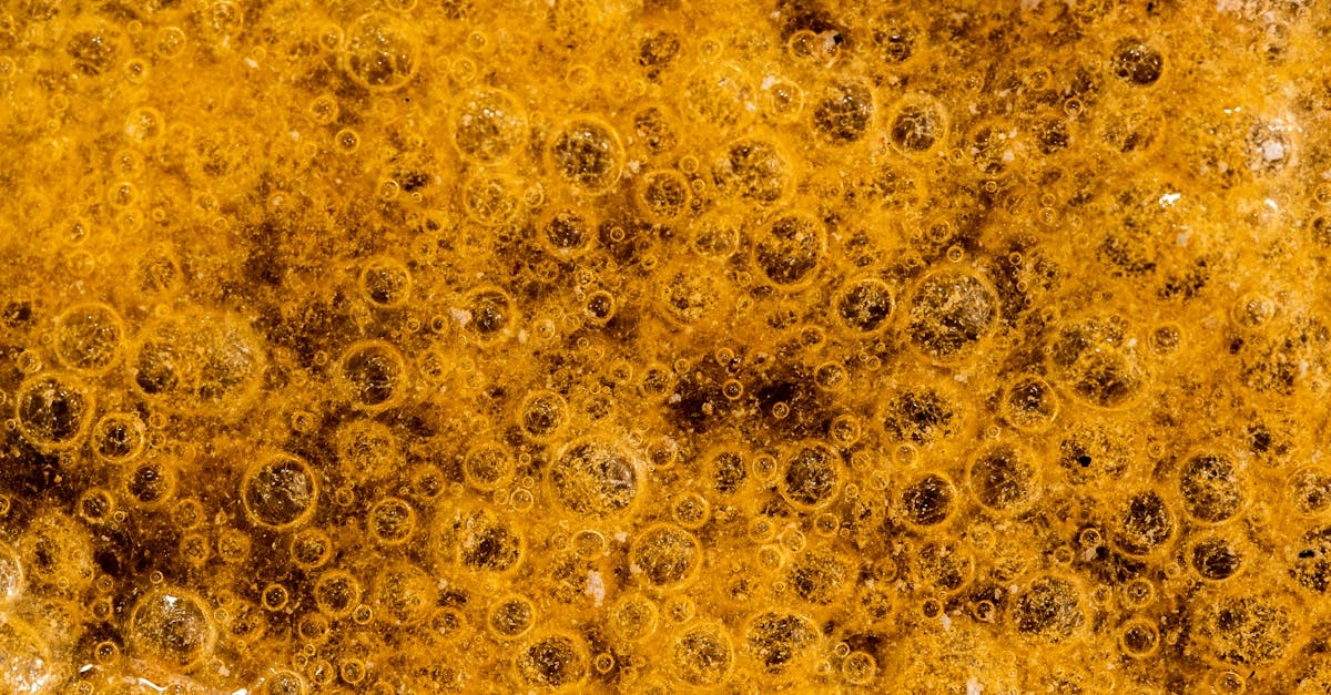 Экстремальный слот Mustang Gold с высокими ставками на пределе риска